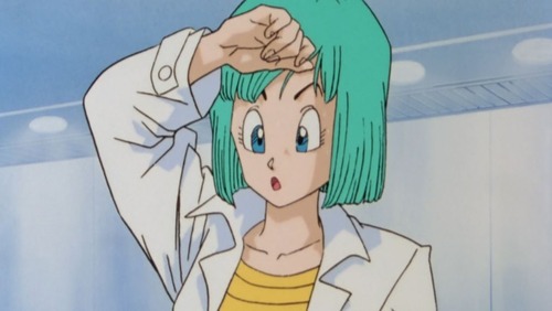 bulma2