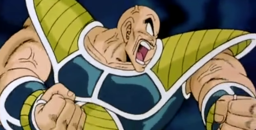 nappa