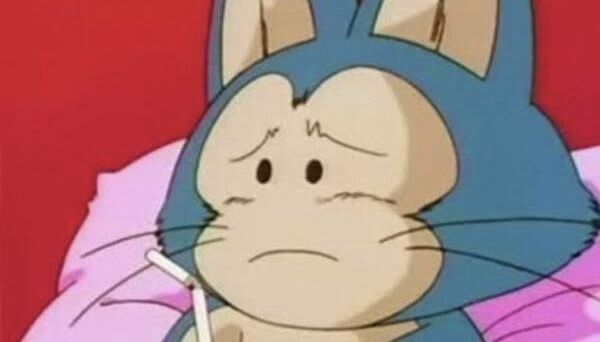 ドラゴンボールのプーアルの正体は獣耳の女の子だけどヤムチャが女苦手だったので言い出せず現在に至る アルティメット速報 ドラゴンボールのプーアルの正体は獣耳の女の子だけどヤムチャが女苦手だったので言い出せず現在に至る アルティメット速報