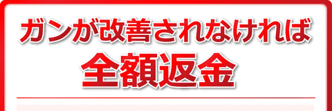 hosyou01