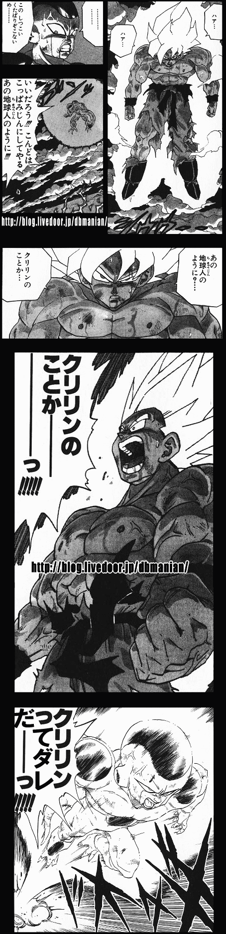 ����Ƶ��