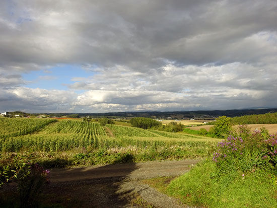 上富良野 エスニック雑貨のサリーリ 8年ぶり再訪 正体不明で用途不明の雑貨買ったったww ミーハーのこだわり