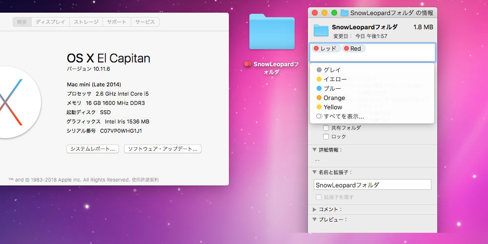 イメージ 10