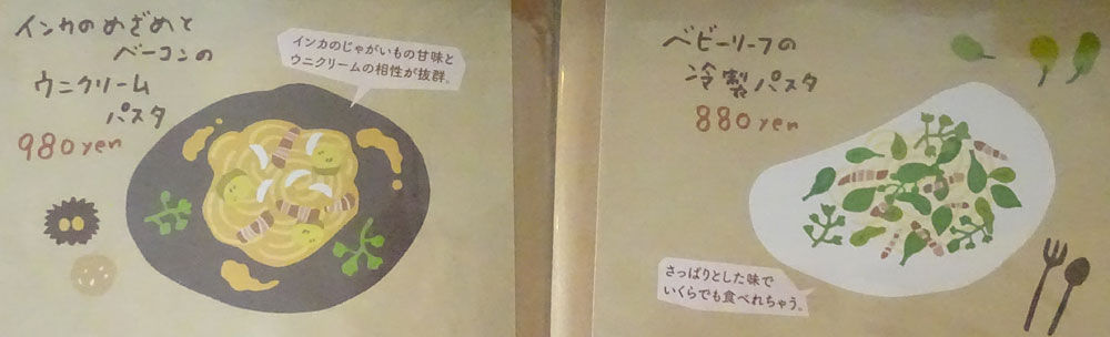 イメージ 11
