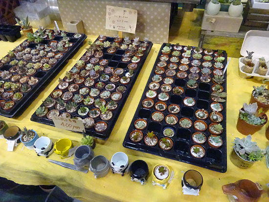 ���᡼�� 4