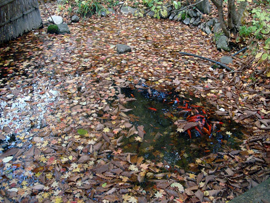 ���᡼�� 3