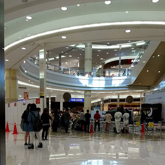 イメージ 5