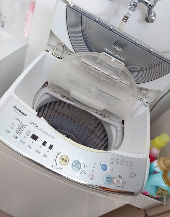 イメージ 2