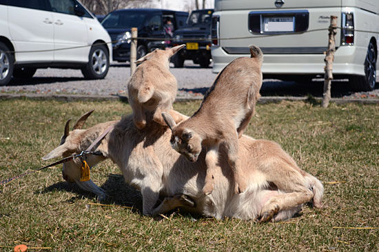 ���᡼�� 3