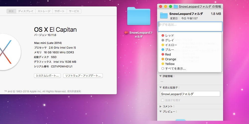 イメージ 11