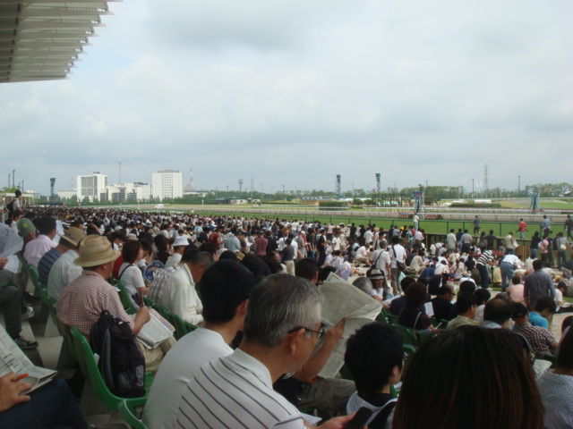 ���ζ��Ͼ�