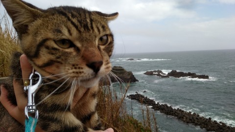 IMG_20181006_142711