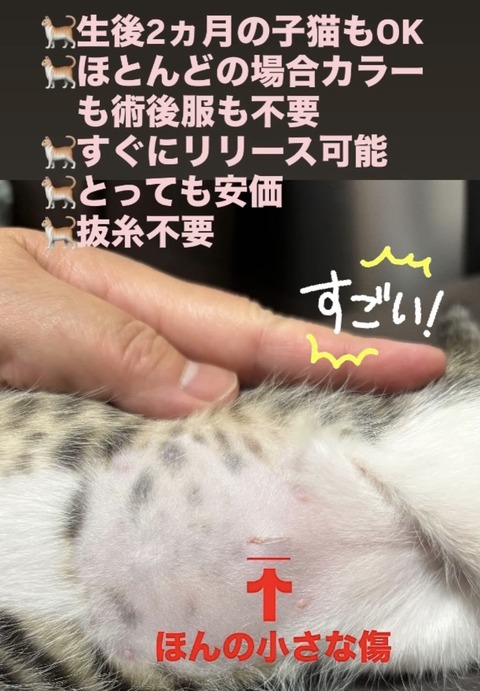 A05FE3B9-7015-4563-9BB3-8C693C0DC2B5