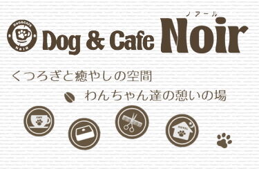 しまねこプロジェクト】里親さん募集🐈u200d⬛ : Dog＆Cafe Noir(ノアール 