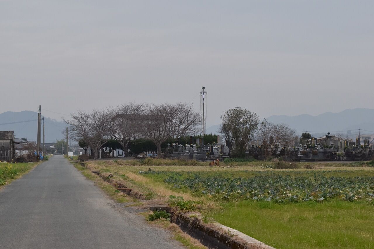 イメージ 2