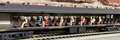 UP coach (2)