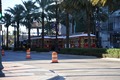 Street car in New Orleans5