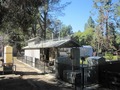 Live Steam Work Shop