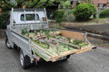 on the truck bed