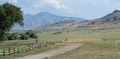Antilope Island H