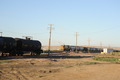 Wamsutter (14)
