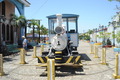 Forny (6)