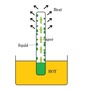 Heat Pipe
