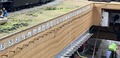 18 mm lumber-core