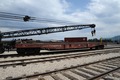 Heber Creepers crane 6