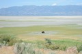 Antilope Island I
