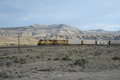 Wasatch F