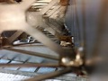 girder bridge inside