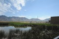 Bird Refuge