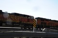 Along Columbia River 6
