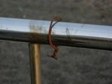 accelerating corrosion on stainless steel