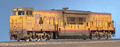 Ron Mitchel U50CBlue Ribbon