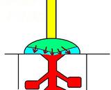 pressure plate