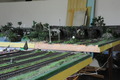 Blue Star Pacific RR (3)