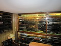Mike's collection