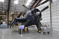 TBM-3 2