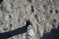 Antilope Island M
