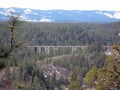 Clio Trestle