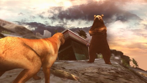 kuma