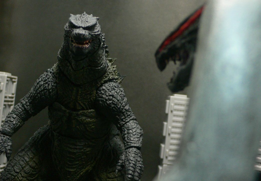 Muto オス メス Factory