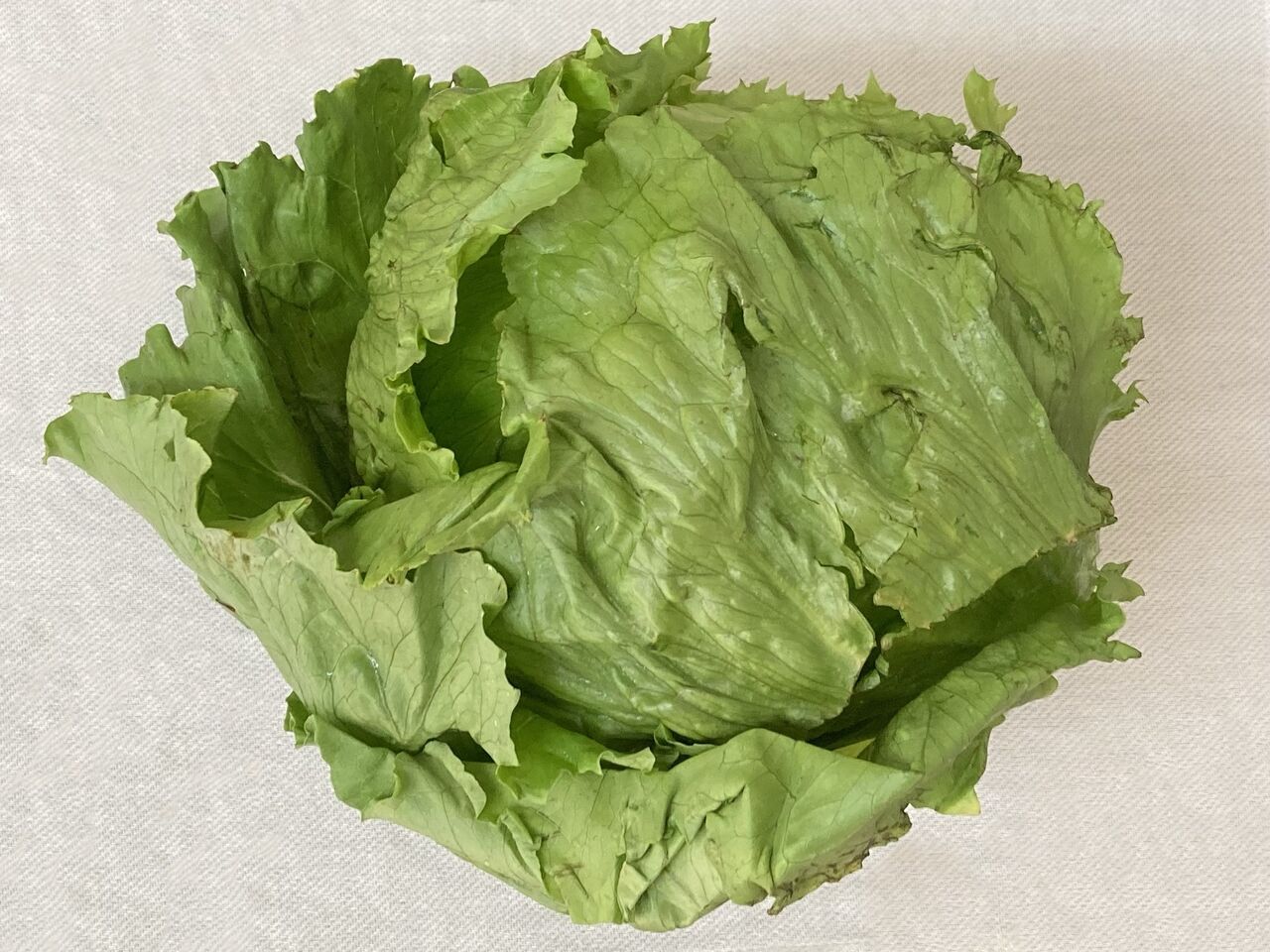 産直コープの里 コープの産直 ｊａ利根沼田 群馬県産高原レタス 22 05 10 Tues 玲奈のフォト ブック 変な日本語を使っているので見られたくない 定期