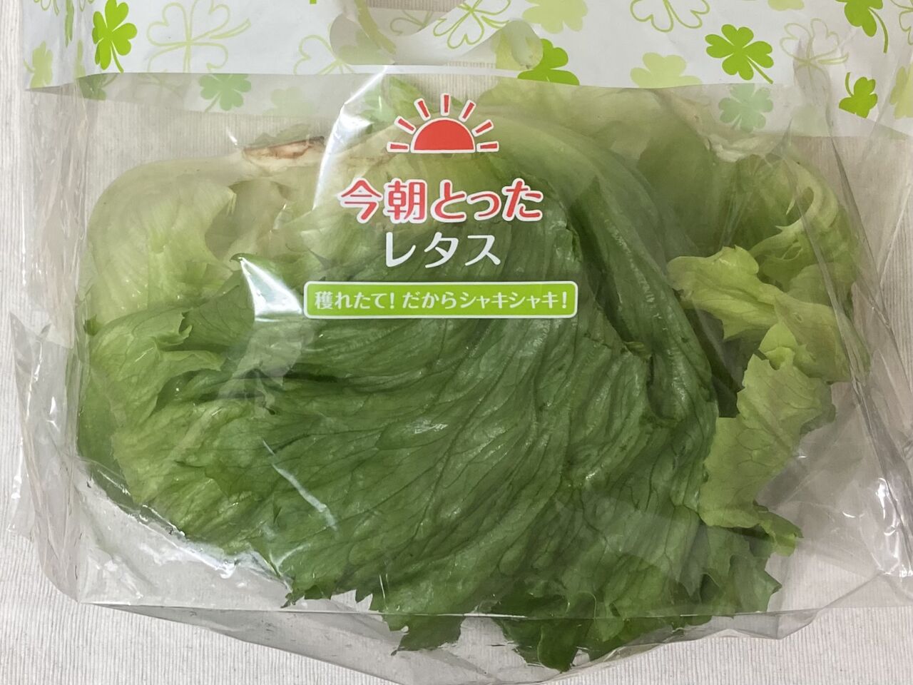 ライフコーポレーション 今朝とったレタス 21 07 06 Tues 玲奈のフォトブック 変な日本語を使っているので見られたくない 定期
