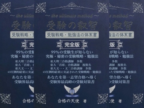 合格の天使 受験の叡智 受験戦略 勉強法の体系書 完全版 Yell Books 20 04 01 Wed 玲奈のフォトブック