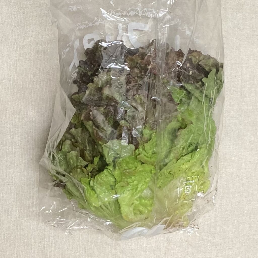 ｊａちばみどり 千葉県産リーフレタス 22 02 14 Thur 玲奈のフォトブック 変な日本語を使っているので見られたくない 定期