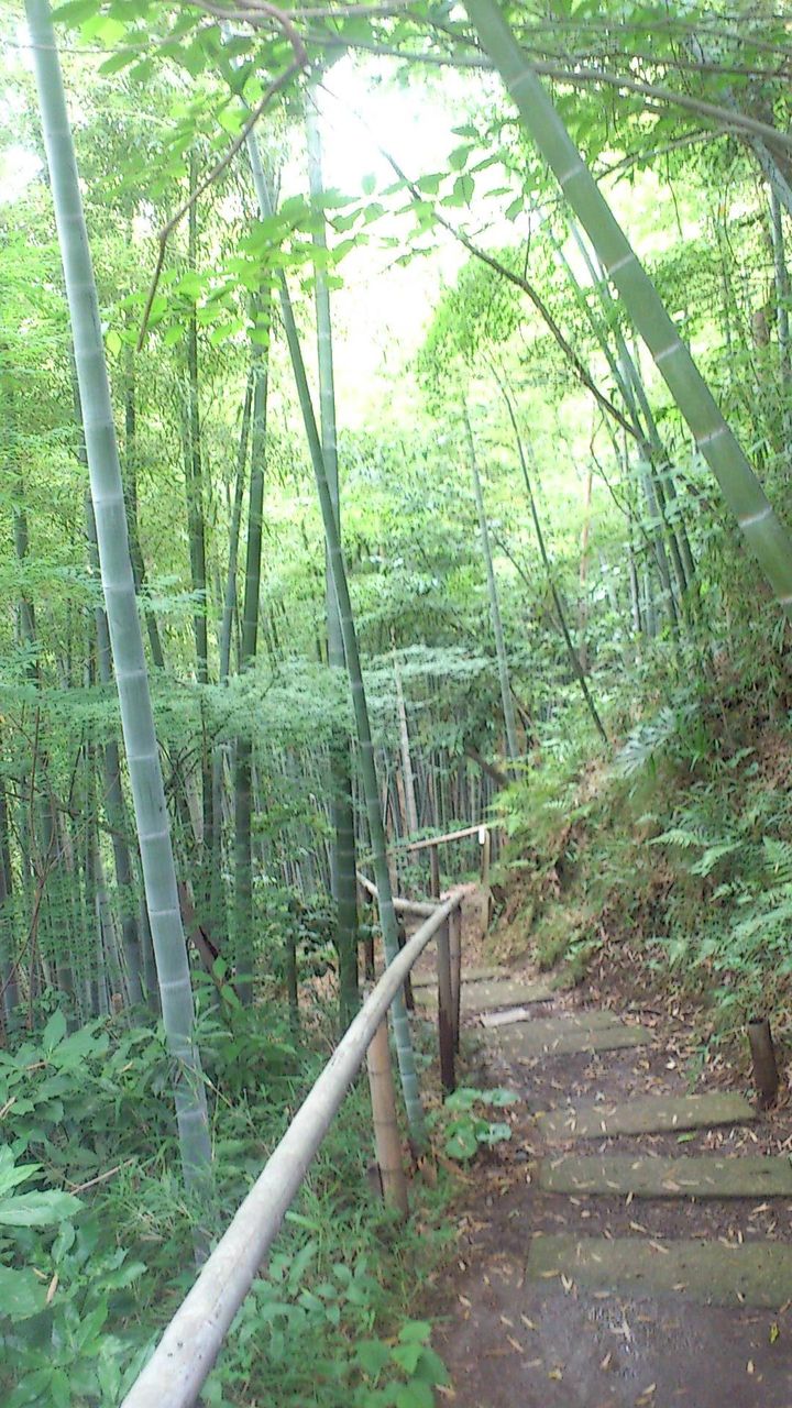 イメージ 13