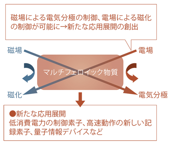 イメージ 7